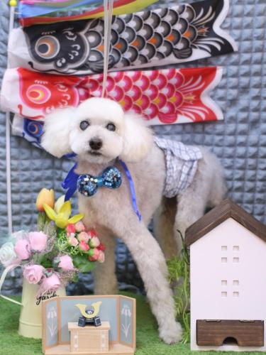 20230519エフくん